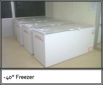 -40 Degree Freezer